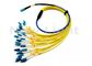 MPO - LC 1M Cross Terhubung 24 core single mode fiber optic cable dengan Length Opsional