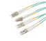 3.3 Ft MPO MTP Cable 50/125 Multimode, Fan - Out Kabel Kabel Patch Fiber Optic