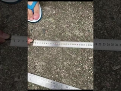 CPRI Bbu Odc-Dlc Cpri Kabel Fiber Optical Patch Waterproof Dengan Tutup debu tertutup