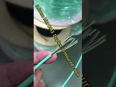 5M Multimode FC Fiber Patch Cord PVC Dan LSZH 3.0 Diameter Simplex Fiber Cable