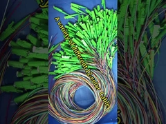 Rugged 12core Loose Tube Sc Fiber Pigtail 0,9mm