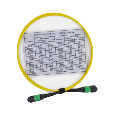 Beli Female OS2 9/125 MPO MTP Cable 12 Fiber Multimode Patch Cord online manufacture