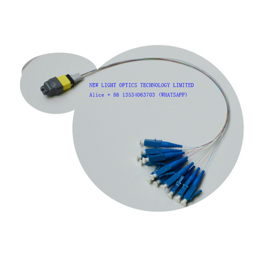 Beli 12 24 Core OS2 OM3 OM4 MPO Kabel MTP Female Polarity B Pleno online manufacture