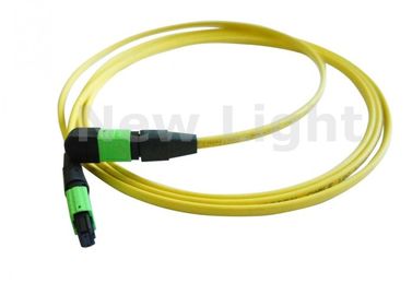 Beli Mode Single 12 Kabel MTP MPO MTP / Kabel Batang MTP Dengan APC Polish CE Disetujui online manufacture