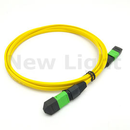 Beli 1 m MTP - MTP kabel MPO MTP male / female kabel serat mode single mode online manufacture