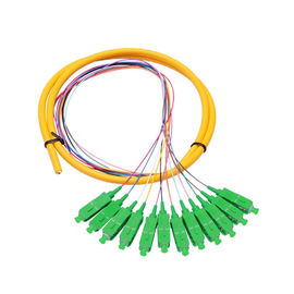 Beli 12 Core SC APC distribusi mode tunggal Fiber Optic Pigtail Untuk Jaringan Telekomunikasi online manufacture