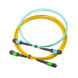 Beli MPO konektor perempuan 12 core single mode Trunk fiber optic Cable Assemblies untuk SFP online manufacture