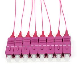 Beli OM4 SC / PC Fiber Optic Pigtail, 1 M Fiber Jumper Kabel 12 Warna 0.9mm online manufacture