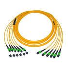 Single Mode 9/125 Kabel Serat Optik Patch Kabel 12 Batang Serat MTP / MPO Pvc