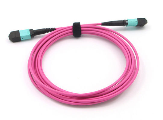 Beli MPO MTP Kabel 12 Fiber Core OM4 Magenta MPO Trunk Kabel untuk Jaringan Berkecepatan Tinggi online manufacture