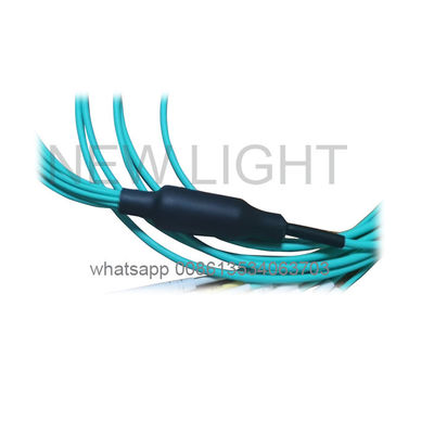 Beli 12 Core OM4 MPO MTP Kabel untuk 40/100G Jaringan dengan MPO ke LC Breakout online manufacture