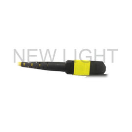 Beli MTP (Female) To MTP (Female) Single Mode Cable Polaritas B Untuk Transceiver QSFP28 online manufacture