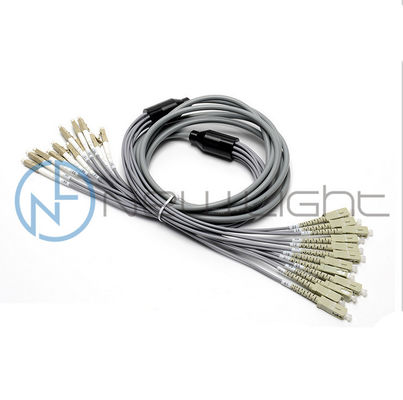 Beli Kabel Patch Fiber Optik Multimode Lapis Baja Fan-Out 12F dengan Panjang Khusus untuk Pengkabelan Kepadatan Tinggi online manufacture