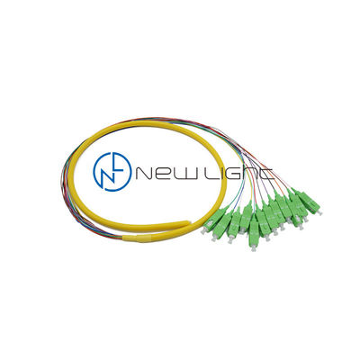 Beli Kuncir Serat SC Tabung Lepas 12-inti yang Kokoh 0.9mm untuk Rakitan Kabel Multifiber Berkinerja Tinggi online manufacture