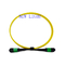 MTP MPO Fiber Breakout Cable OM3 PVC Disesuaikan Untuk Jaringan Komunikasi Data