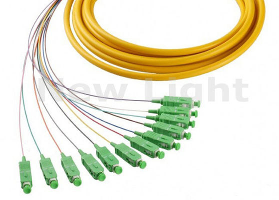 1 Meter Single Mode SC APC 12 Core Fiber Optic Pigtail untuk Transmisi Data Kecepatan Tinggi
