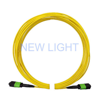 2m (6ft) 24 Core Single Mode MPO Female Connector Jumper Kabel Serat Optik
